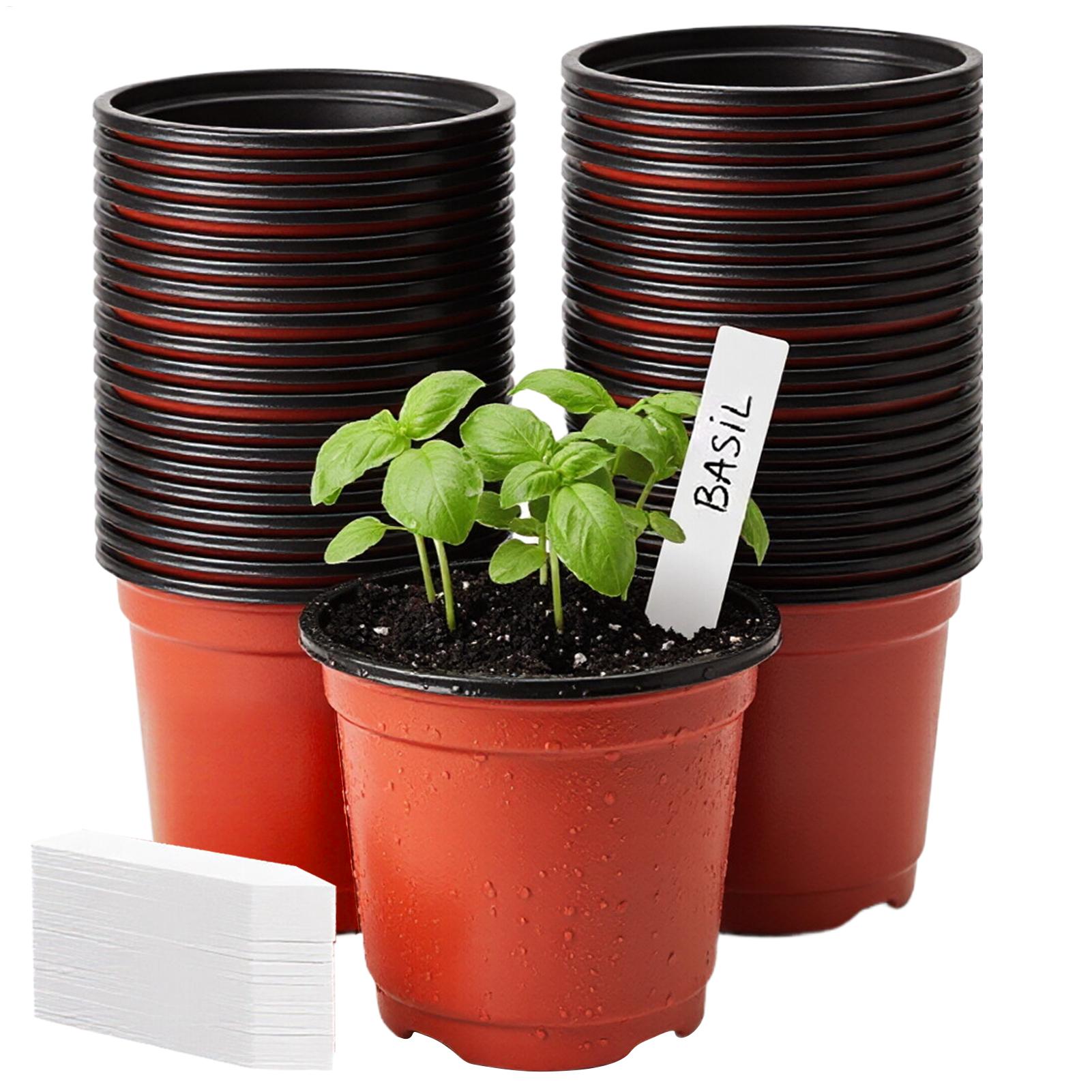 Food Storage Plants - Plant Pots 100pcs Nursery Pots with