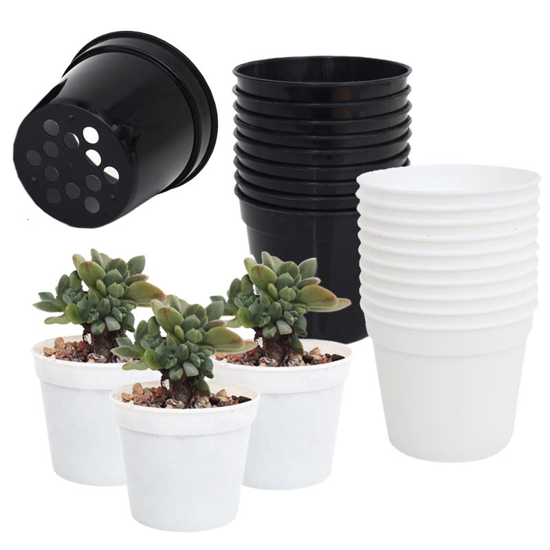 Food Storage Plants - 10/20pcs Round Plastic Flowerpot Mini Seedling