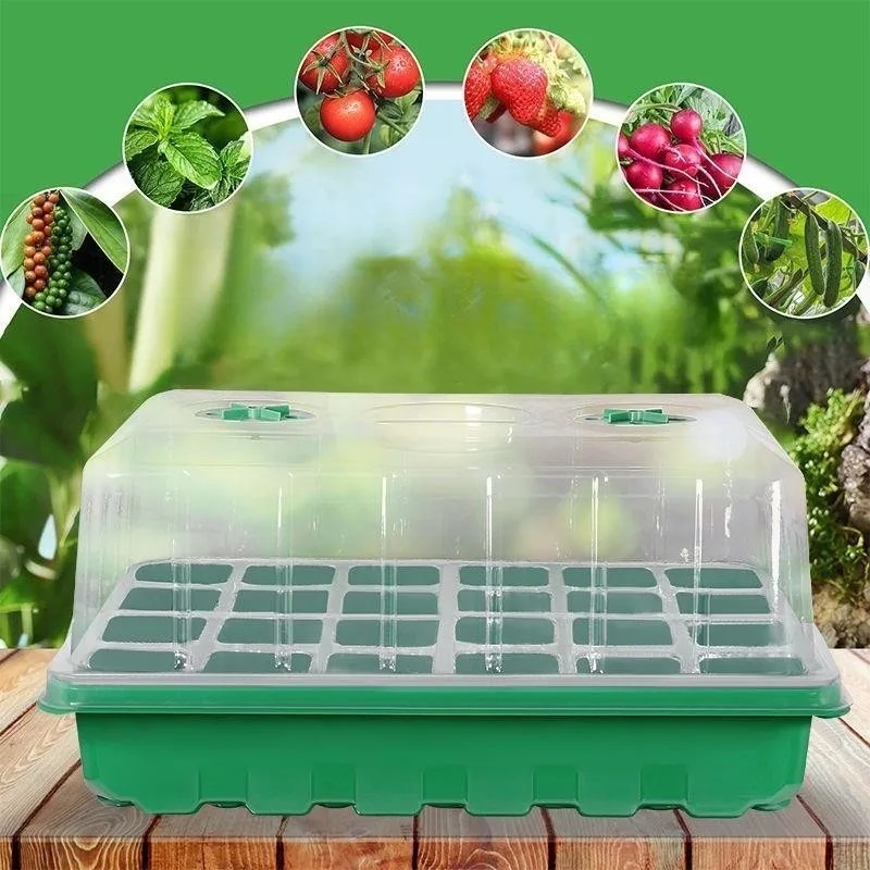 Food Storage Plants - 1/5-Piece Seedling Tray Kit - 24