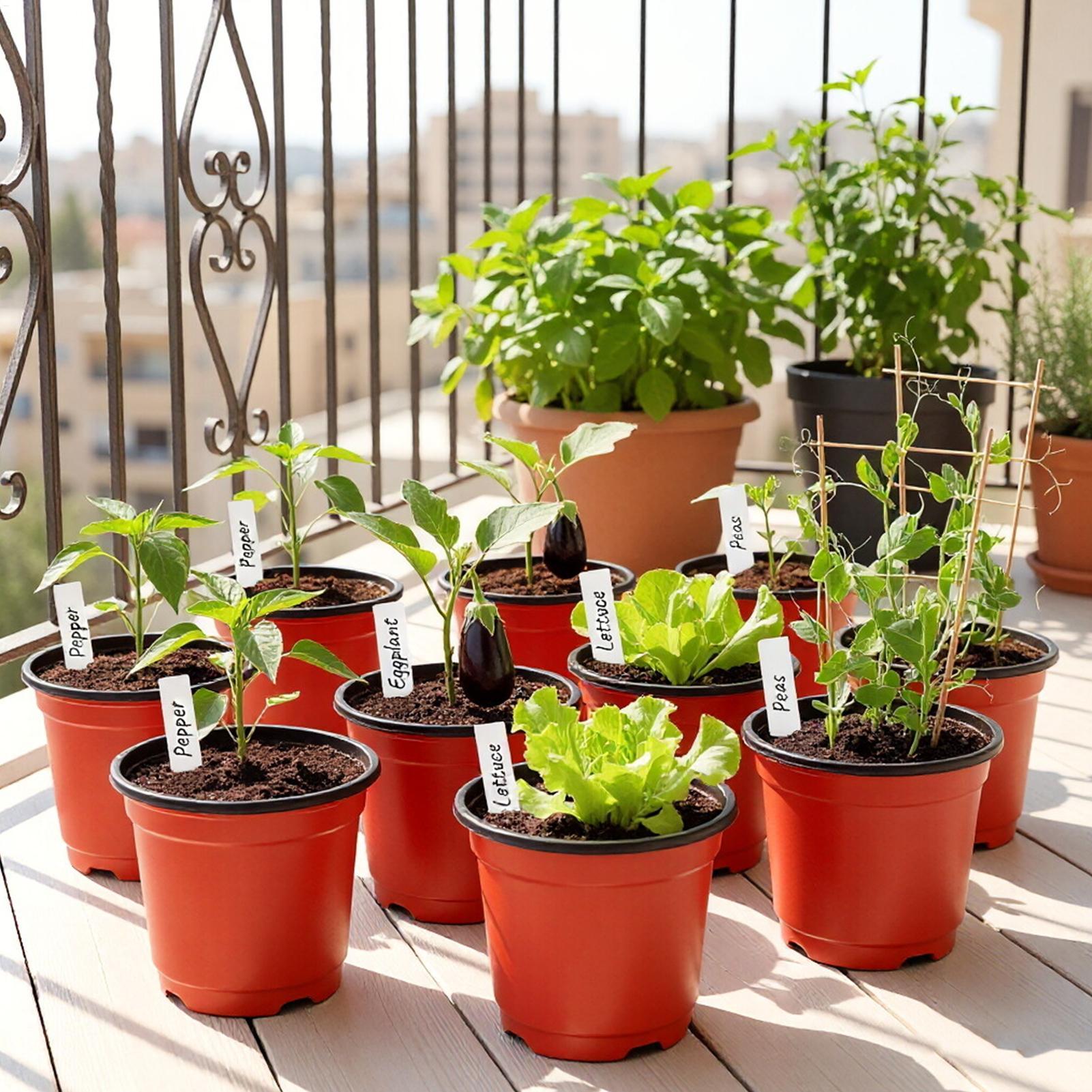Plant Pots 100pcs Nursery Pots - Food Storage Plants review and price