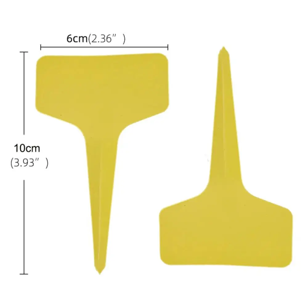 25-200Pcs Reusable Plastic Pla - Food Storage Plants review and price