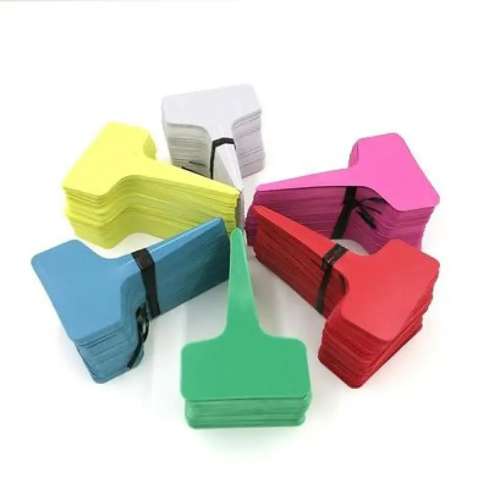 25-200Pcs Reusable Plastic Pla - Food Storage Plants review and price