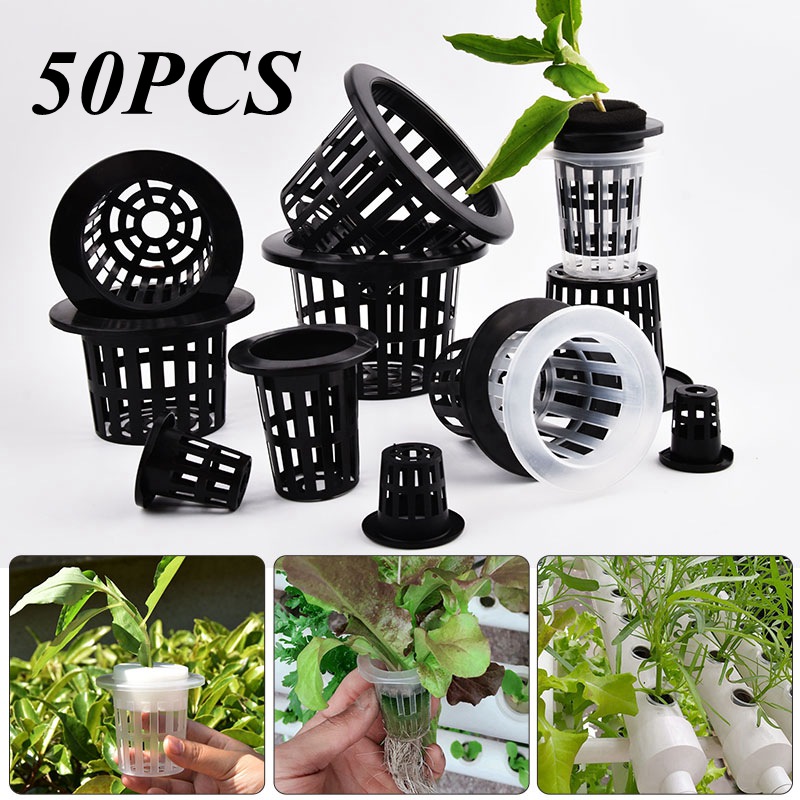 50Pcs Black White Soilless Mes - Food Storage Plants review and price