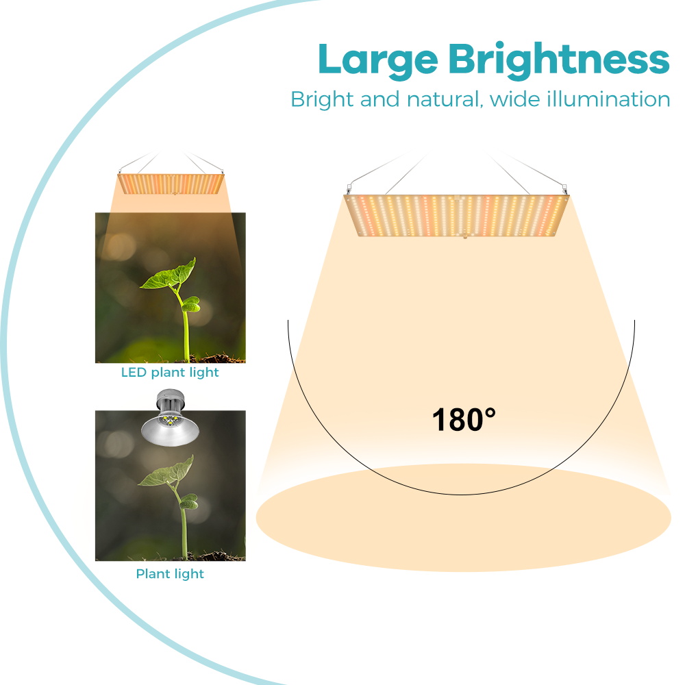 350W LED Plant Gorw Light Full - Food Storage Plants review and price