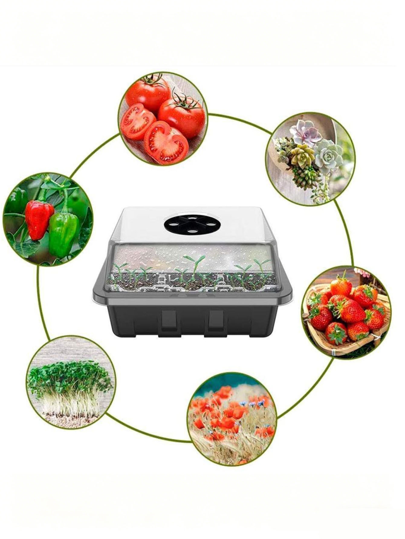 1/2pc 6/12-Hole Seedling Tray, - Food Storage Plants review and price