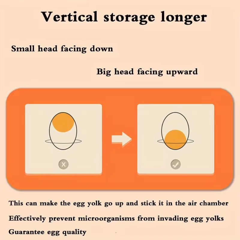 Two-Level Plastic Egg Storage  - Food Storage Eggs review and price