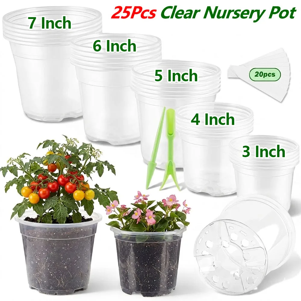 25Pcs 3/4/5/6/7 Inch Clear Nur - Food Storage Plants review and price