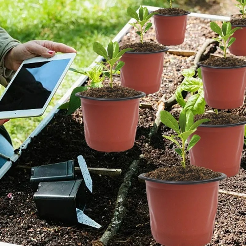 100/20x Seeding Nursery Pot Bl - Food Storage Plants review and price