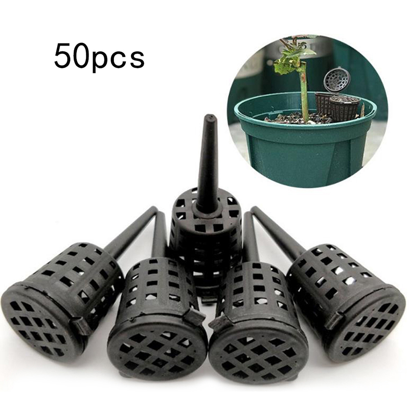 50 Pcs/pack Plants Fertilizer  - Food Storage Plants review and price
