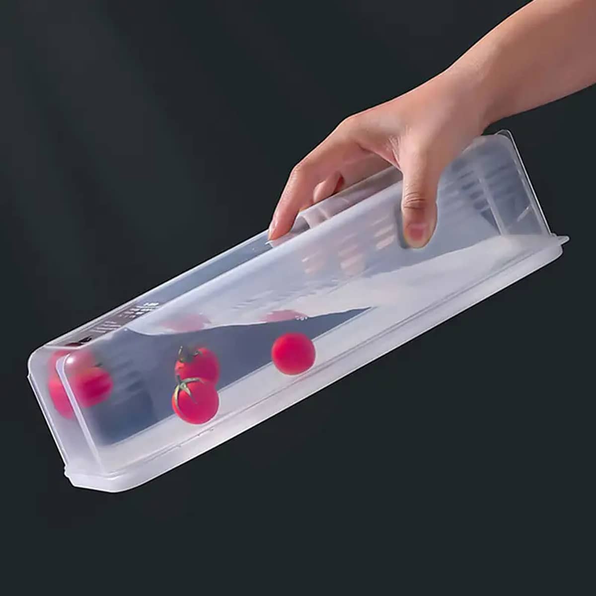 1 Plastic Transparent Storage  - Food Storage Freezer Containers review and price